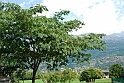 Fènis - Il Castello_0104